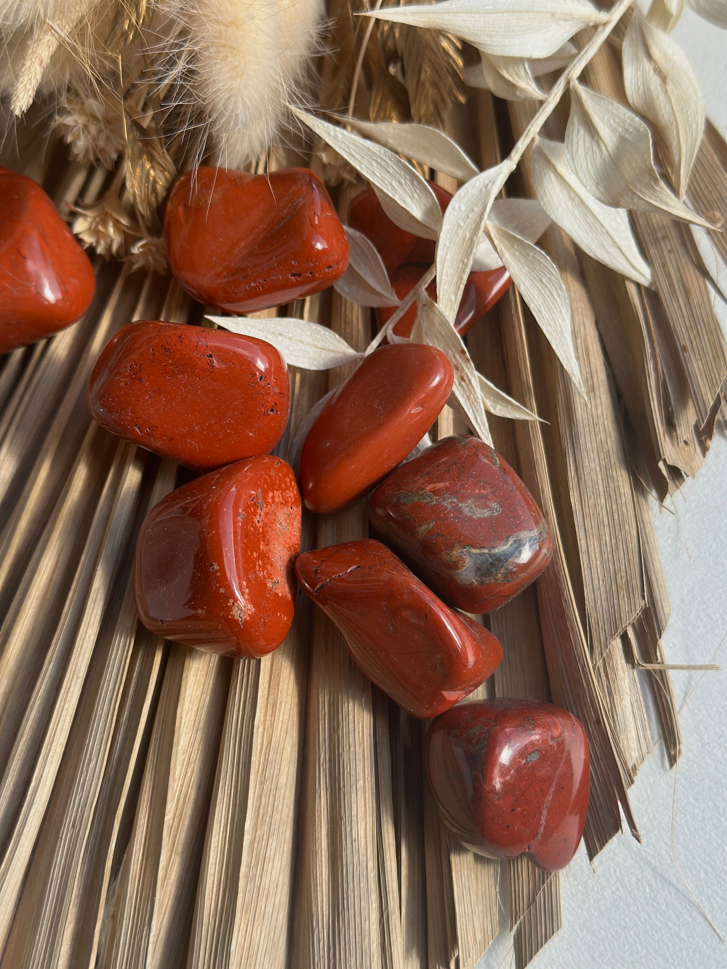 JASPE ROUGE D'AFRIQUE DU SUD