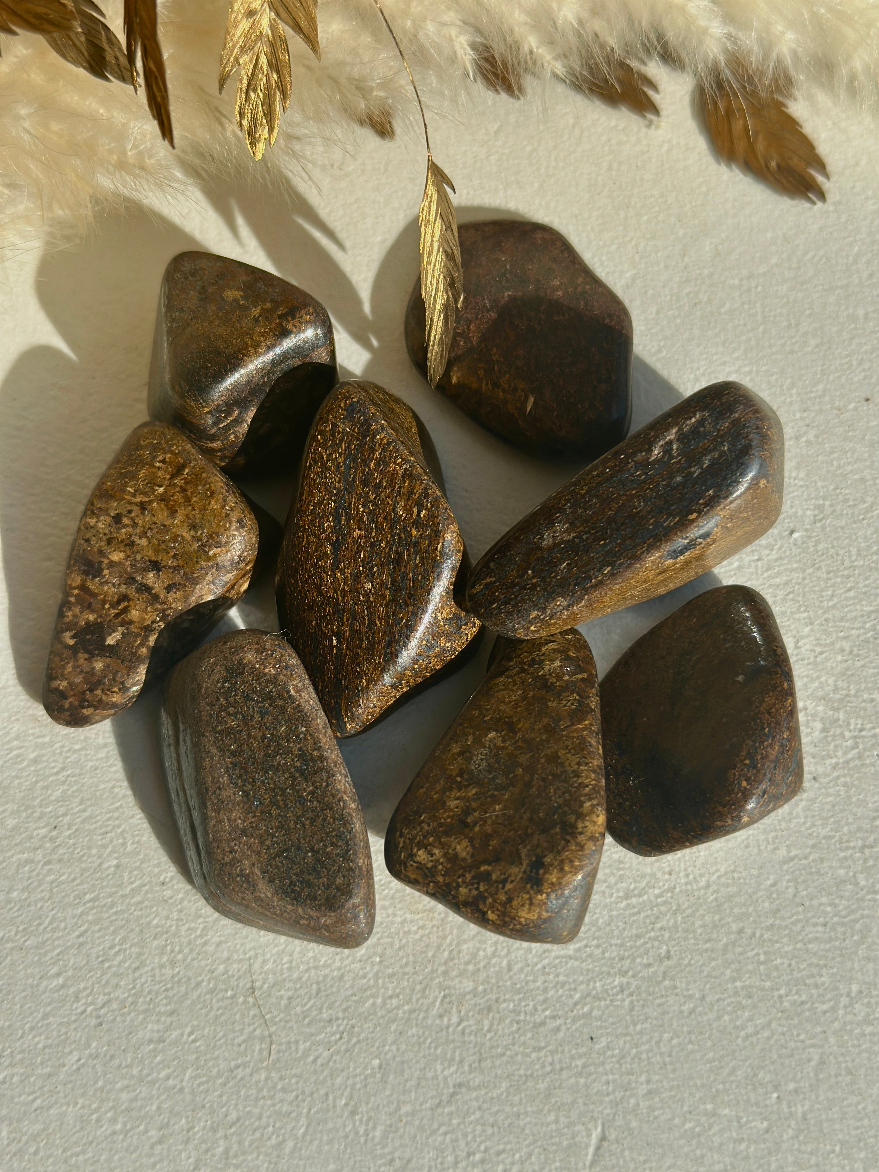BRONZITE DU BRESIL