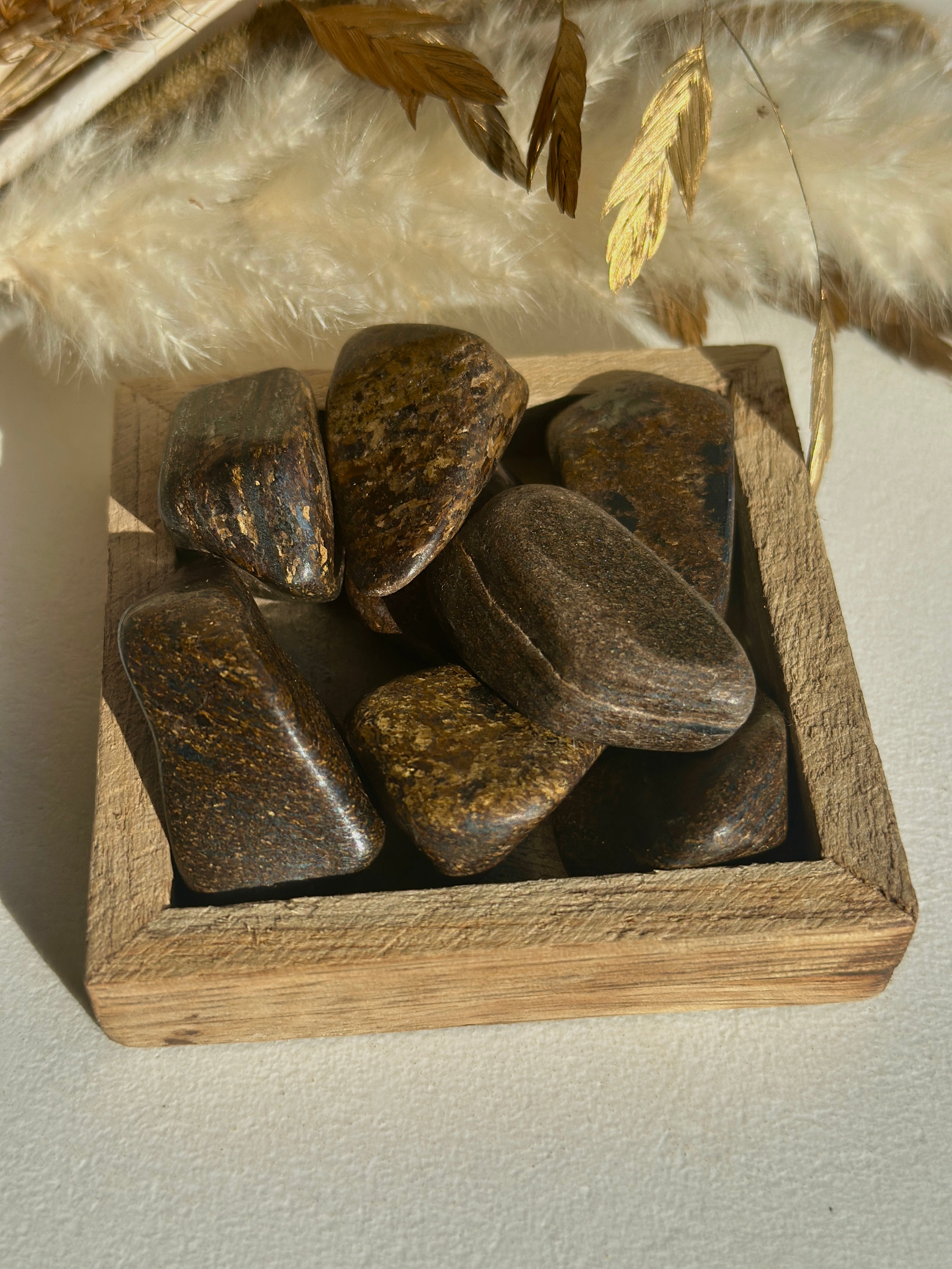 BRONZITE DU BRESIL