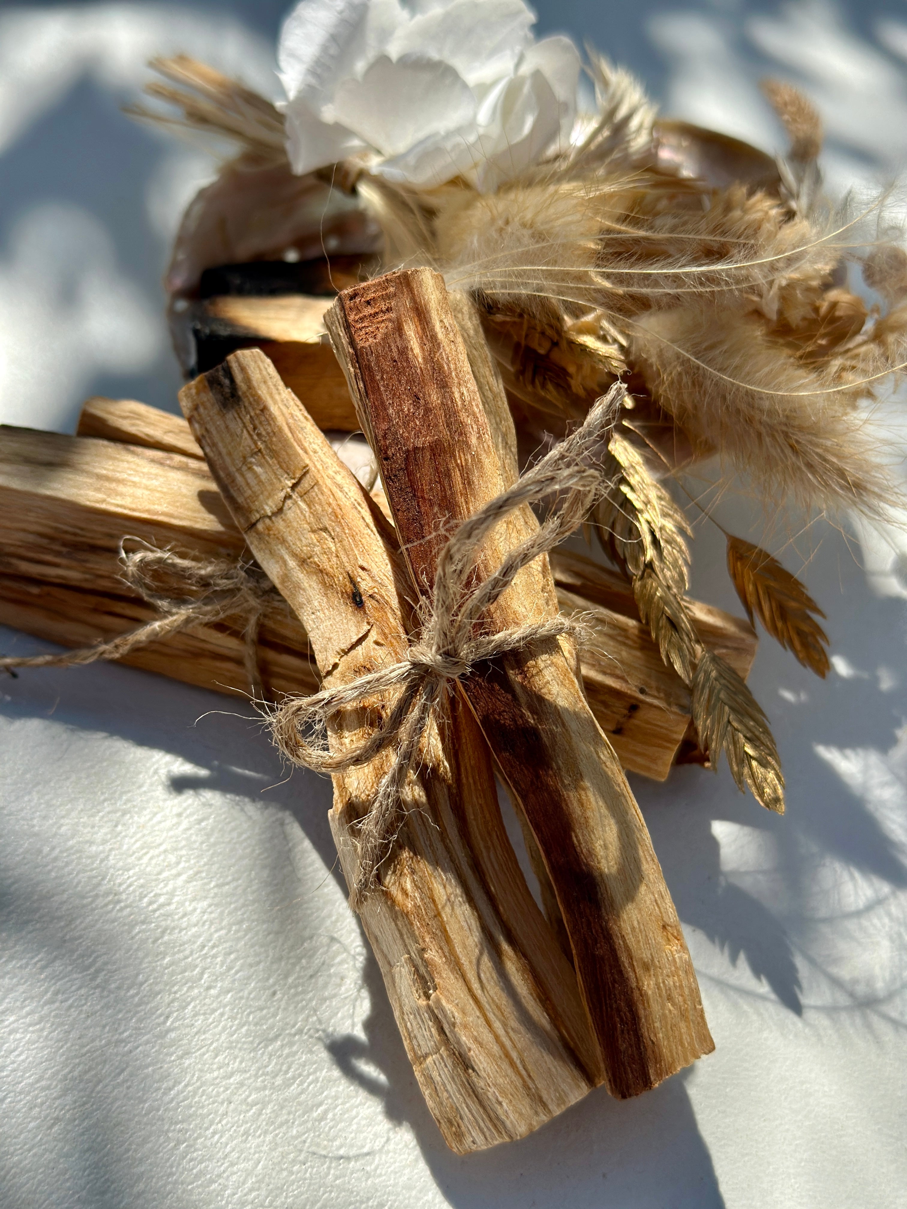 PALO SANTO