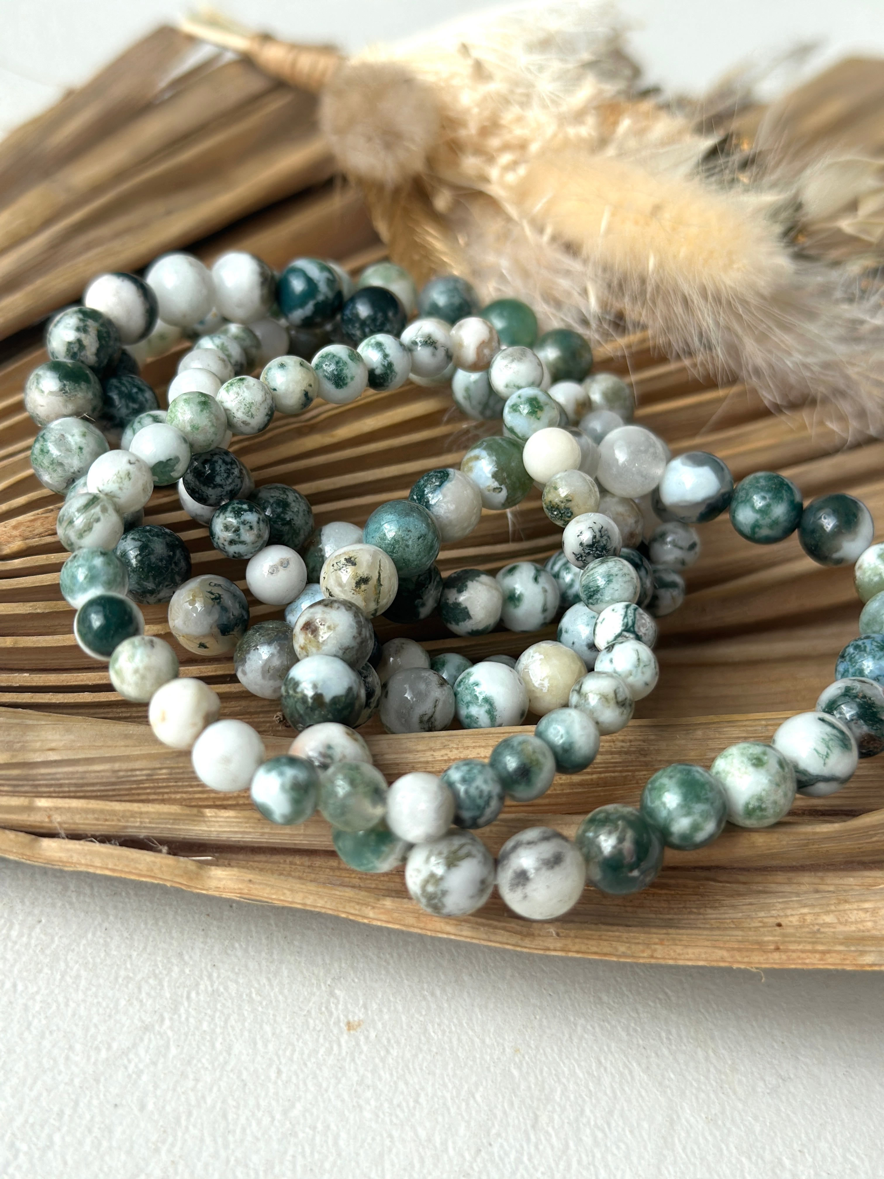 AGATE ARBRE D'INDE