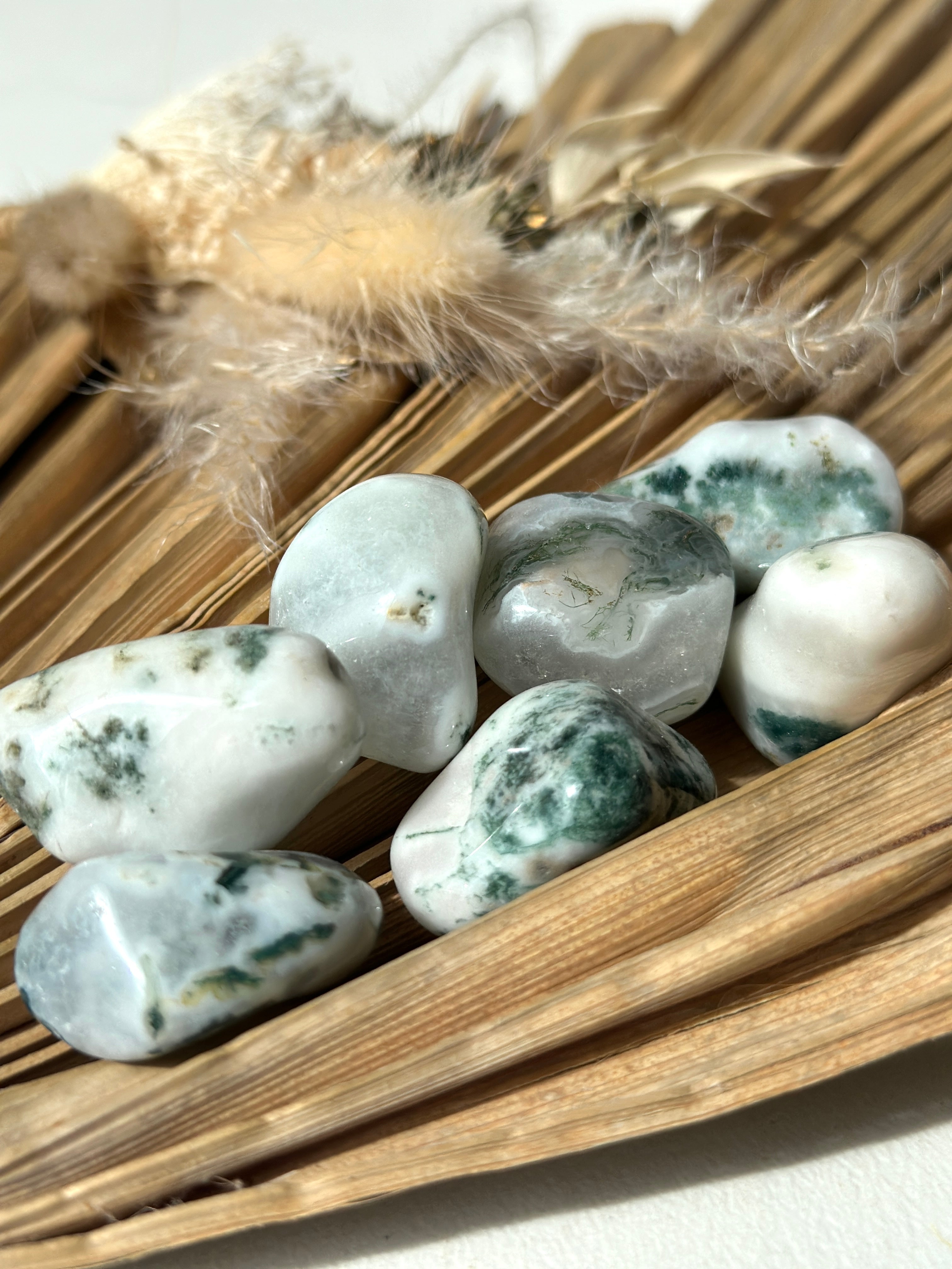 AGATE ARBRE D'INDE