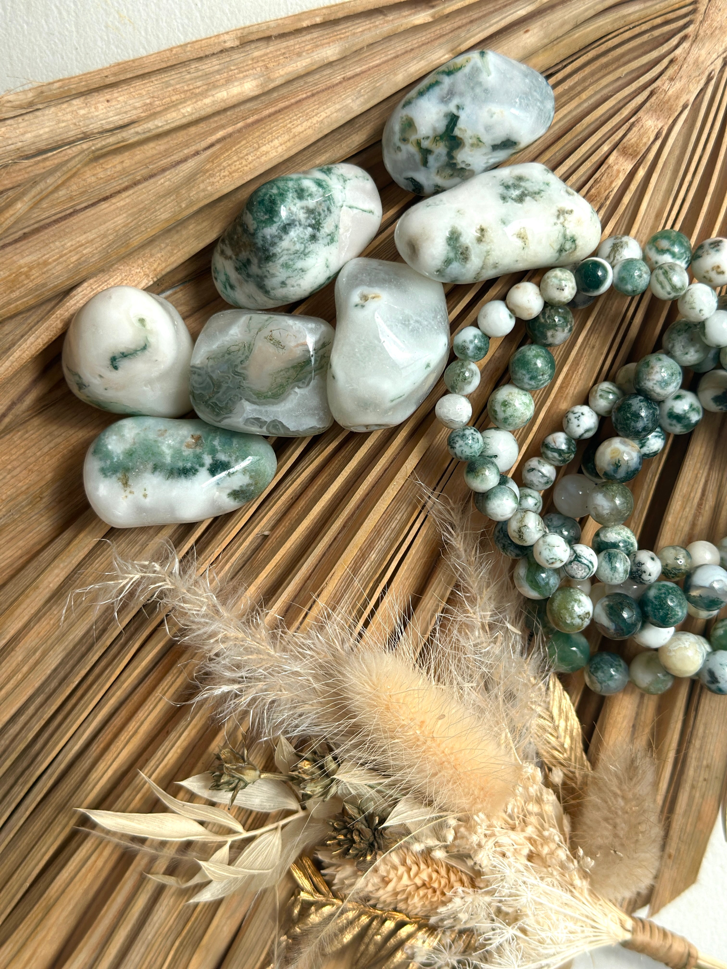 AGATE ARBRE D'INDE